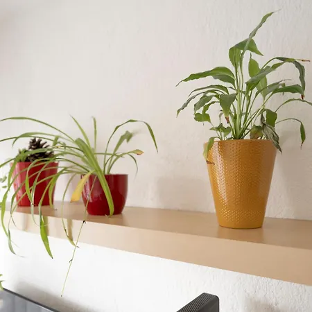 דירה Le Du Palais - Centre Gare Congres - 2 Pers נאנסי