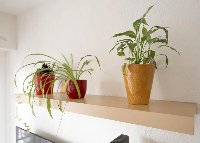 Apartmán Le Du Palais - Centre Gare Congres - 2 Pers Nancy